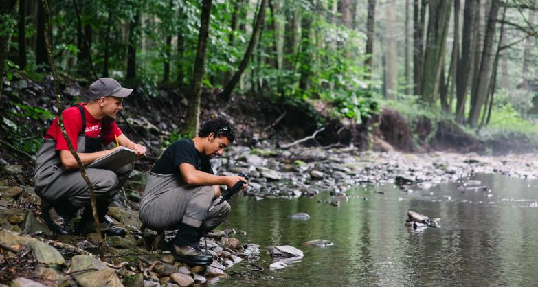 Our Earth & Environmental Sciences Program